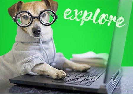 Market Research Services